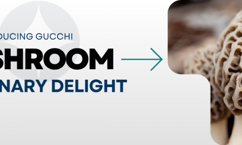 Introducing Gucchi Mushroom: A Culinary Delight with Nutritional Riches