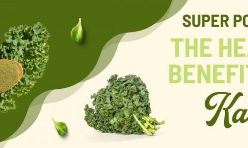 Super Powder: The Health Benefits of Kale
