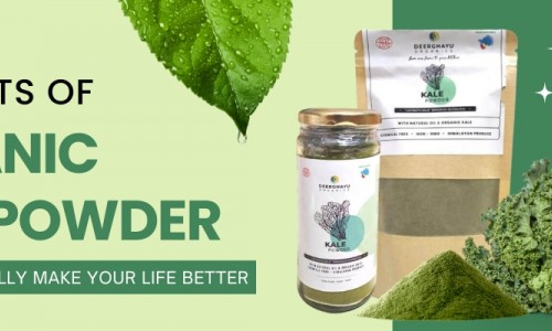 7 Benefits of Organic Kale Powder That Will Actually Make Your Life Better