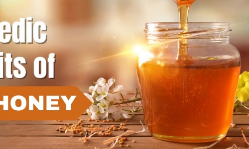 Ayurvedic Benefits of Raw Honey